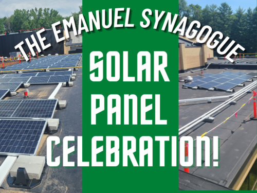 Banner Image for Solar Panel Grand Opening Celebration